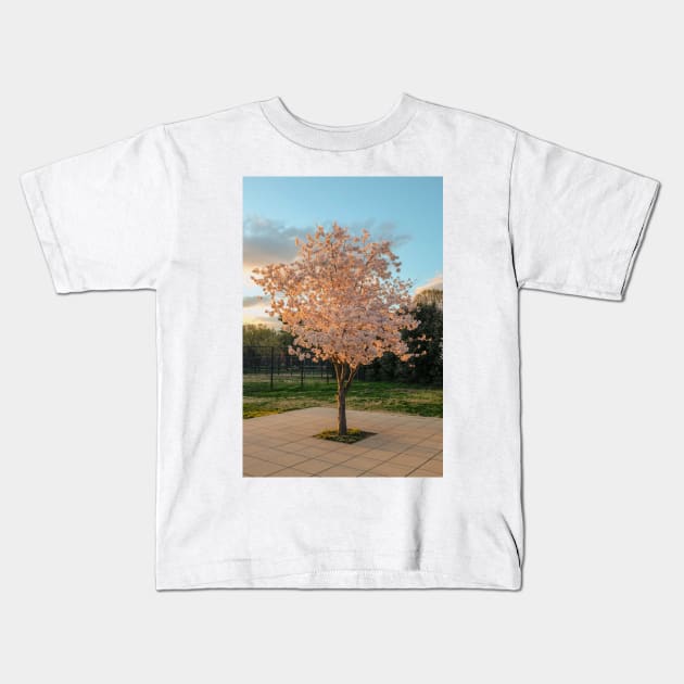 Cherry Blossom 7 Kids T-Shirt by igjustin